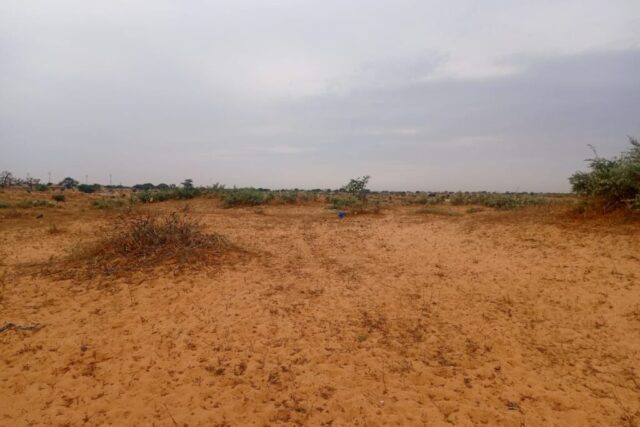 Terrain de 2,32 hectares prêt pour projet de morcellement à vers Kébémer