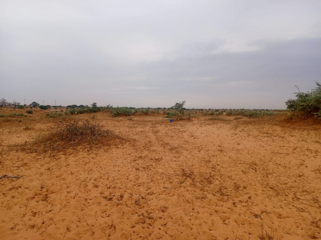 Terrain Agricole de 2,32 Hectares vers Kébémer