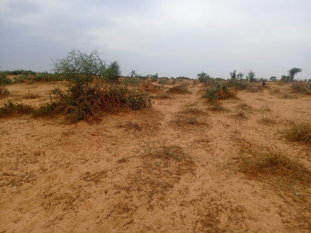 Terrain Agricole de 2,32 Hectares vers Kébémer