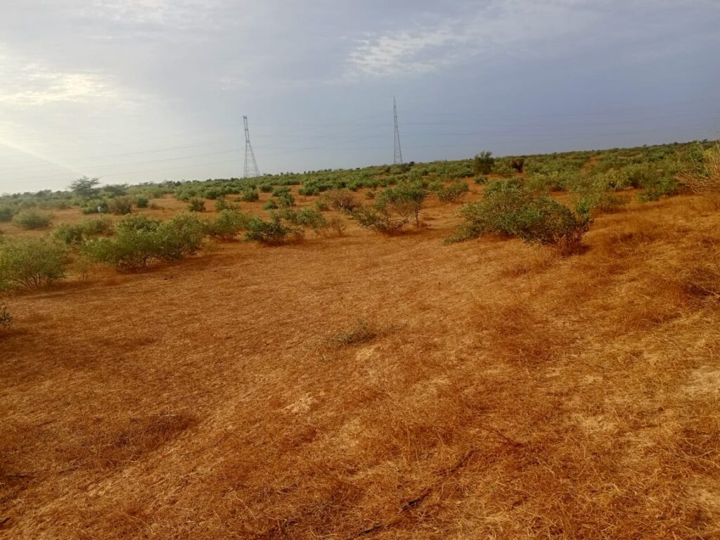 Terrain Agricole de 2,80 Hectares vers Kébémer
