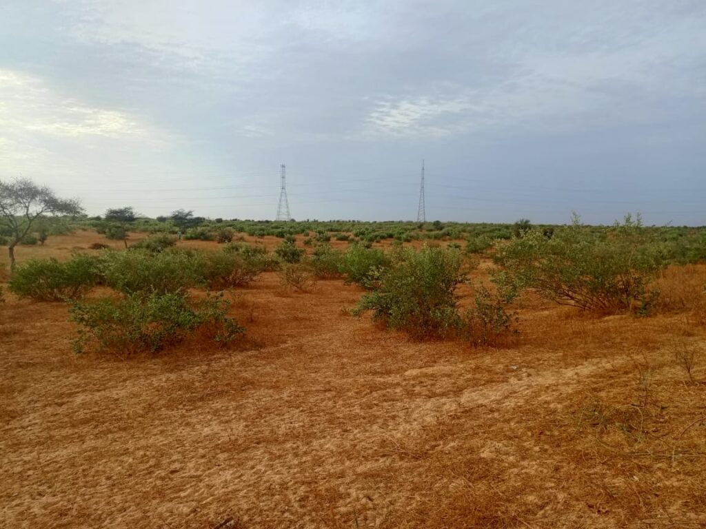 Terrain Agricole de 2,80 Hectares vers Kébémer