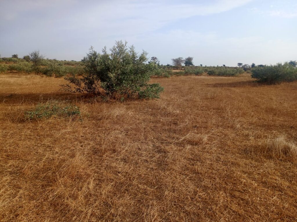 Terrain Agricole de 2,80 Hectares vers Kébémer
