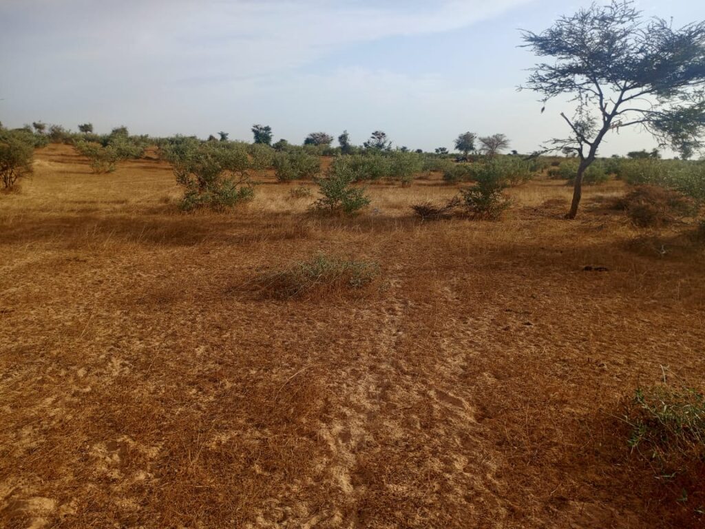 Terrain Agricole de 2,80 Hectares vers Kébémer