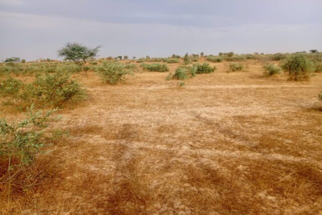 2,80 hectares à fort potentiel, idéal pour votre projet de morcellement vers Kébémer