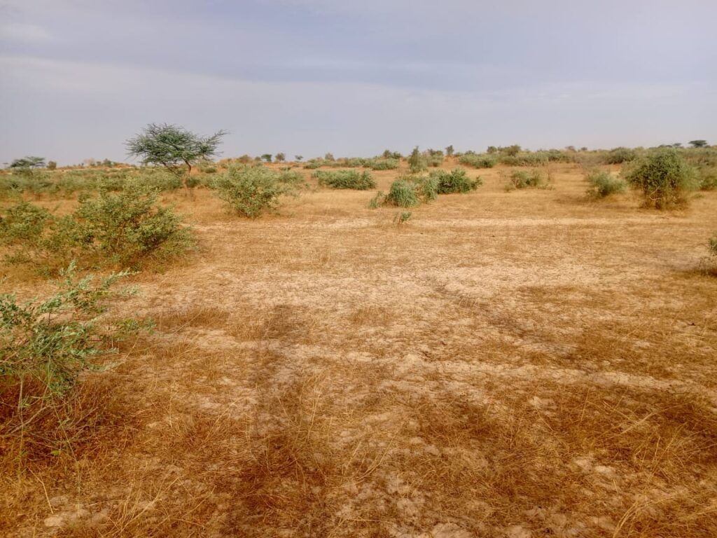 Terrain Agricole de 2,80 Hectares vers Kébémer