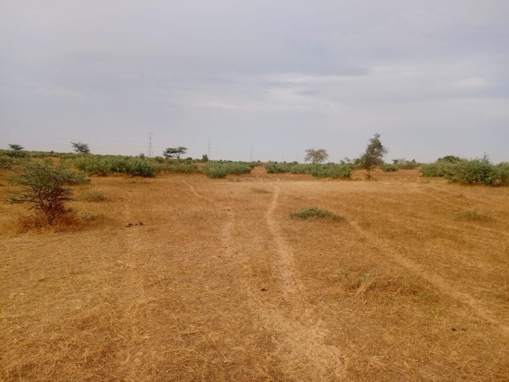 Terrain Agricole de 2,80 Hectares vers Kébémer