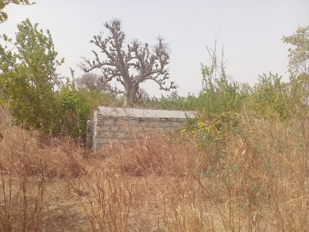 Verger de 5 hectares vers Sandiara – Mbour