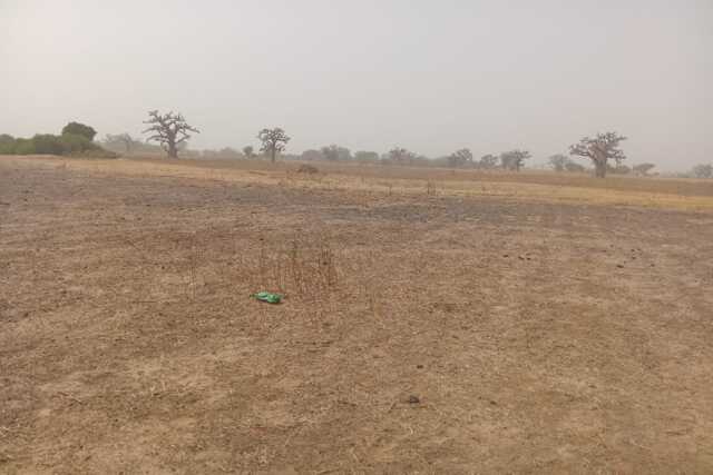 Terrain Agricole de 1 Hectare vers Sandiara – Mbour