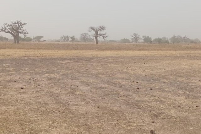 Terrain Agricole de 1 Hectare vers Sandiara – Mbour