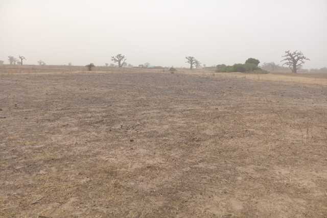 Terrain Agricole de 1 Hectare vers Sandiara – Mbour