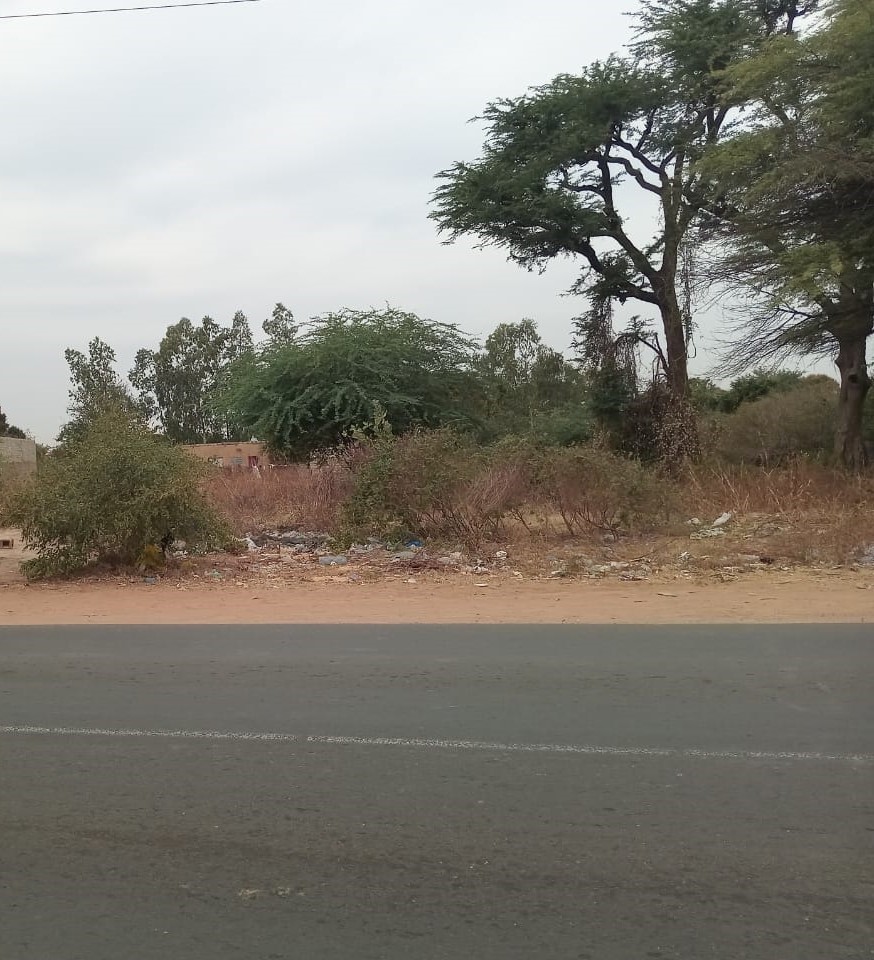 Terrain de 2300 m² prêt pour projet de morcellement à Nguékhokh