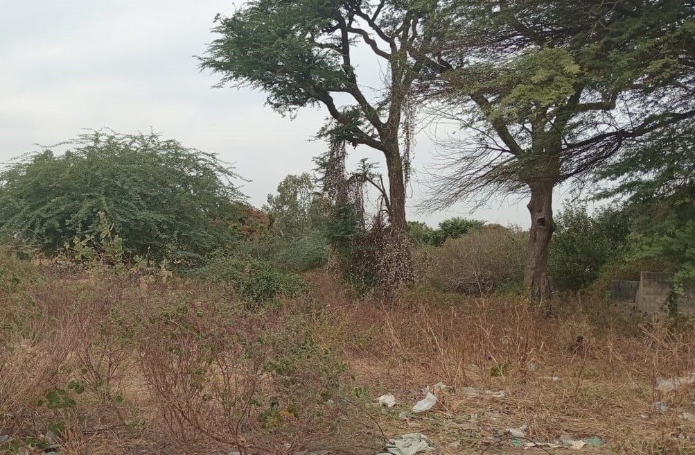 Terrain de 2300 m² prêt pour projet de morcellement à Nguékhokh