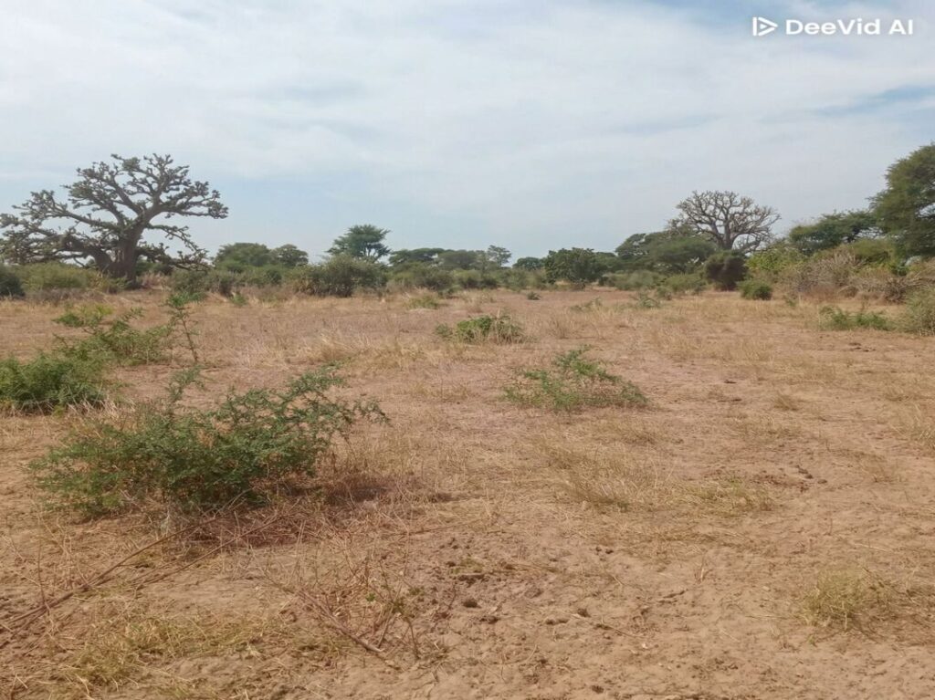 Lot de 25 Terrains à usage d’habitation, vers Sindia – Mbour