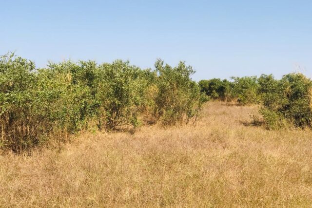 Terrain Industriel de 2 Hectares vers Fandéne – Thiès