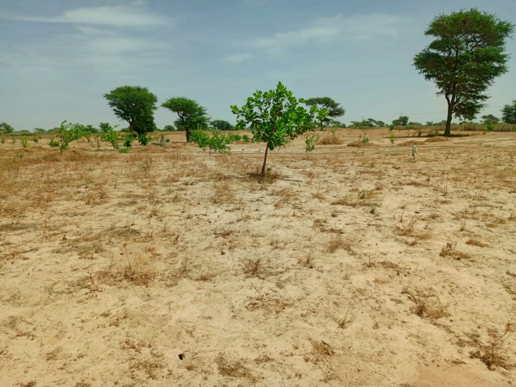 Lancez votre Investissement d’envergure : 9,59 Hectares stratégiques vers Notto Diobass – Thiès