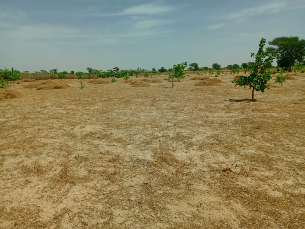 Lancez votre Investissement d’envergure : 9,59 Hectares stratégiques vers Notto Diobass – Thiès