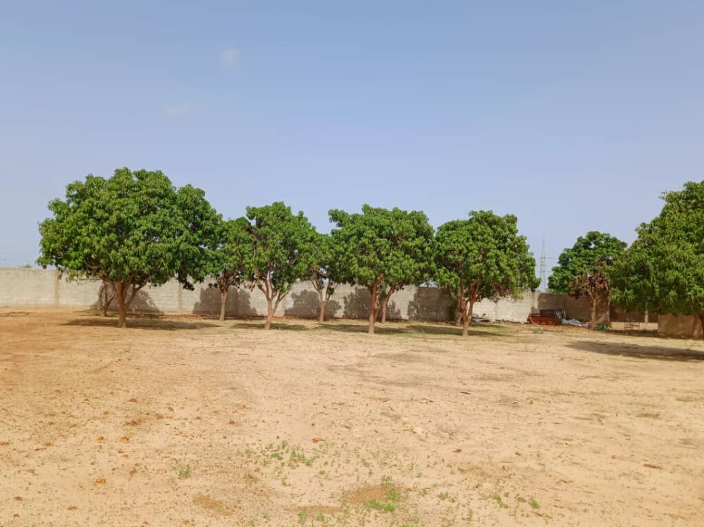 Location Verger de 5.000 m² vers Notto Diobass-Thiès