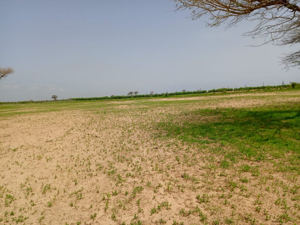 Terrain Agricole de 1,62 Hectare vers Tassette – Thiès