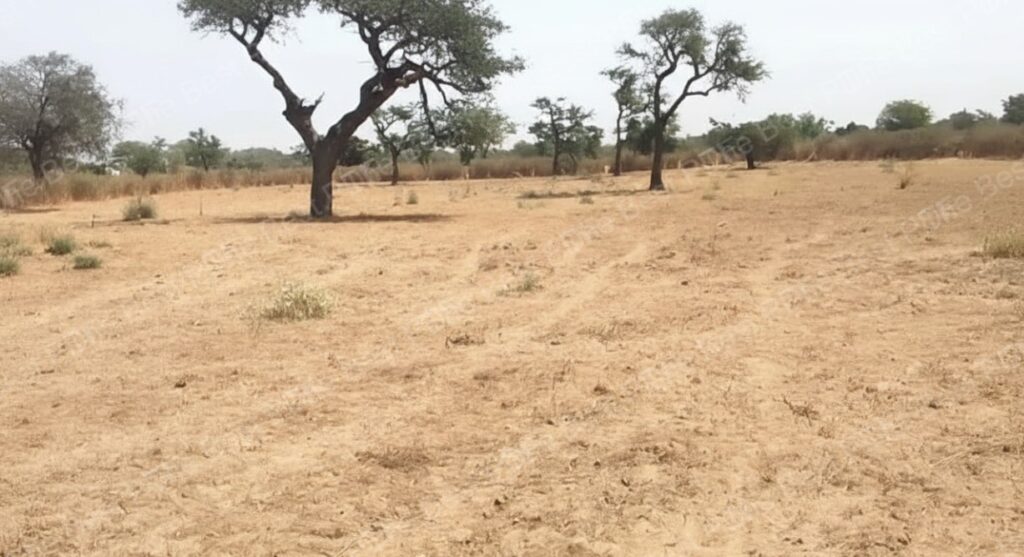 Terrain Agricole de 9.861 m² vers Sindia – Mbour