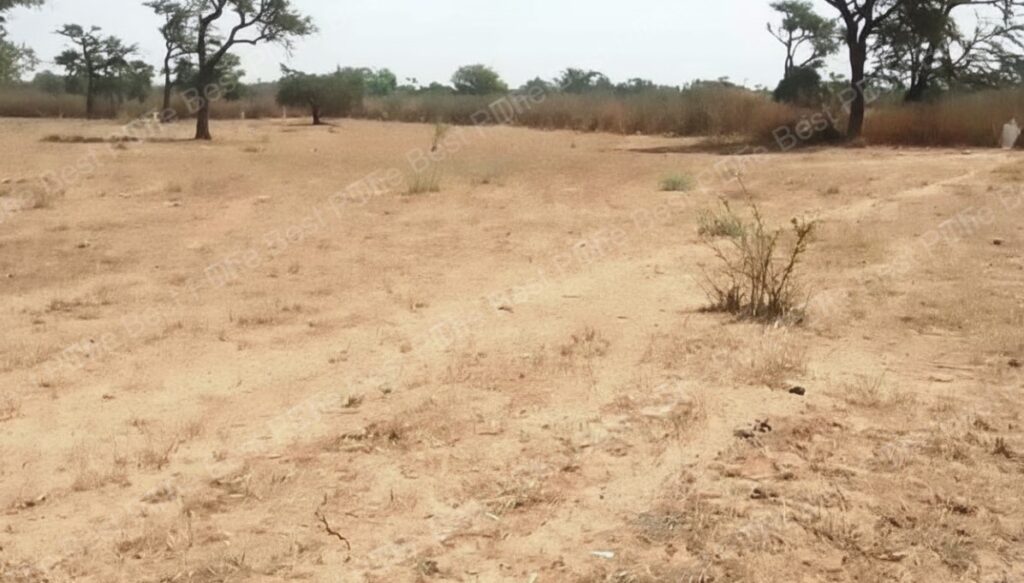 Terrain Agricole de 9.861 m² vers Sindia – Mbour