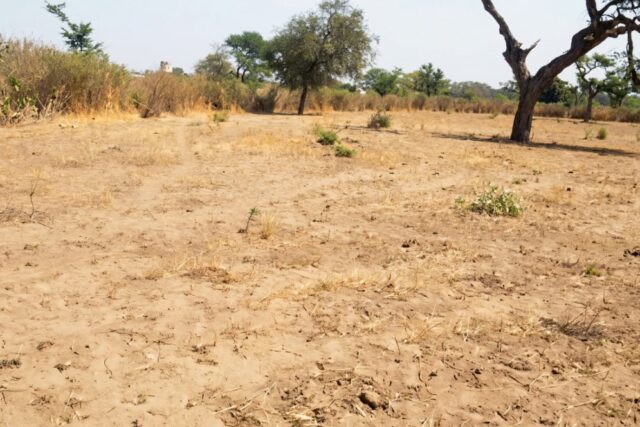 Terrain Agricole de 9.861 m² vers Sindia – Mbour