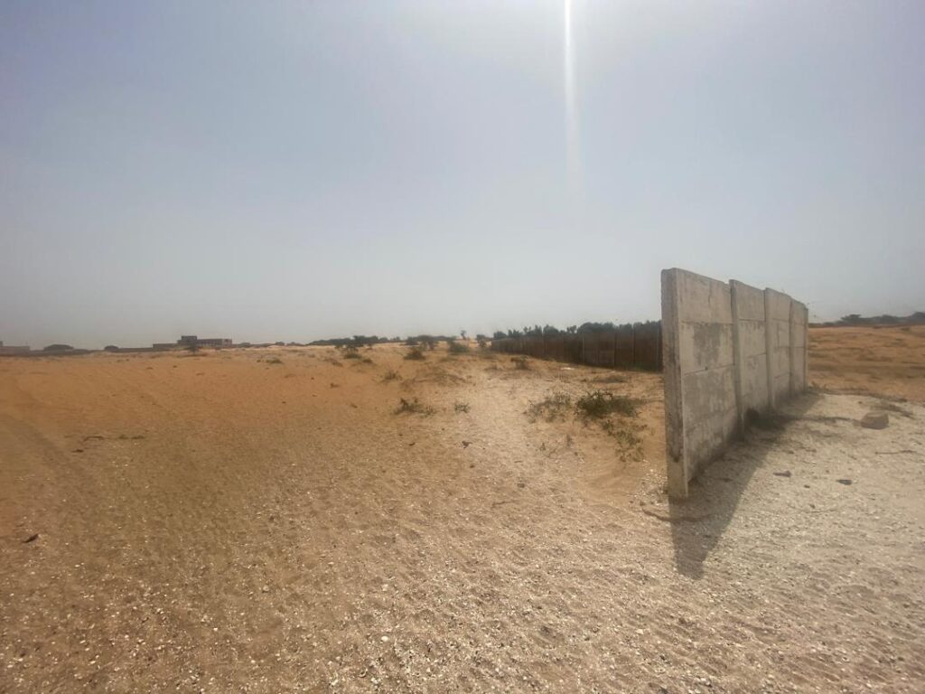 Opportunité : 8 Hectares Industriels (Axe Kayar-Thiès)