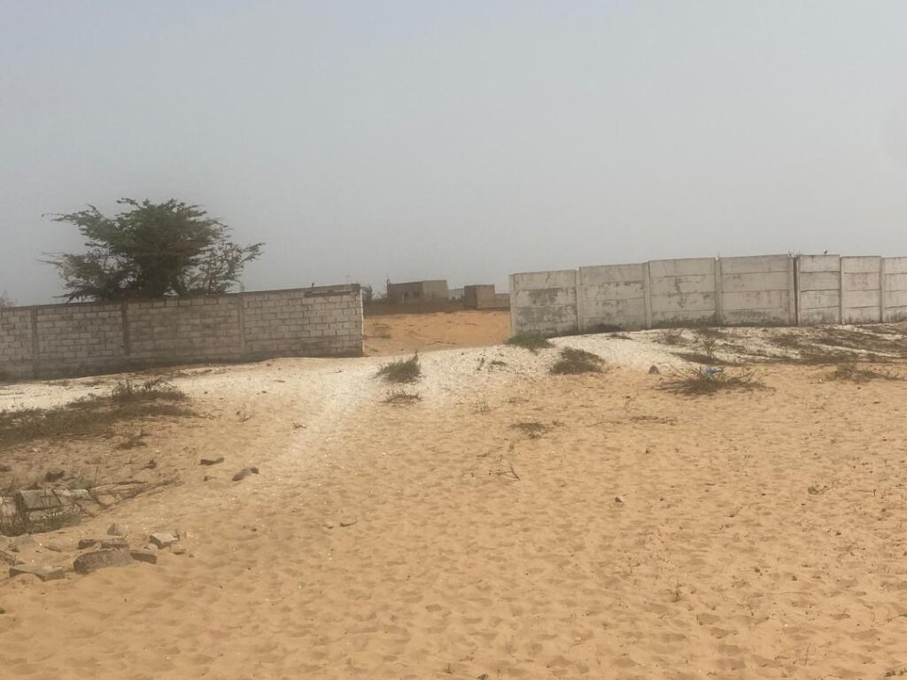 Opportunité : 8 Hectares Industriels (Axe Kayar-Thiès)