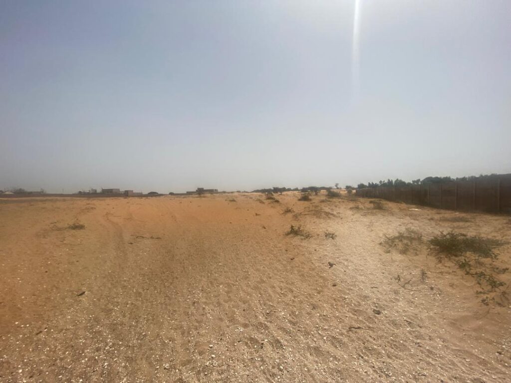 Opportunité : 8 Hectares Industriels (Axe Kayar-Thiès)