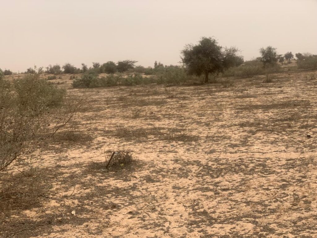 Propulsez votre activité sur 2,59 Ha. Un terrain, prêt pour vos installations industrielles.