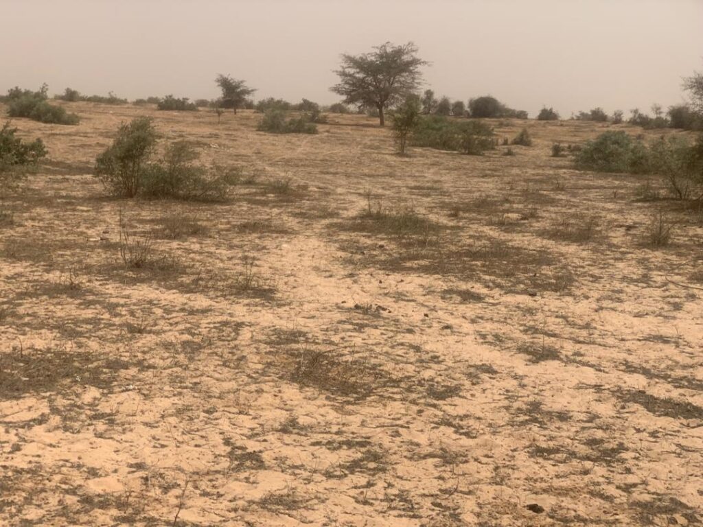 Propulsez votre activité sur 2,59 Ha. Un terrain, prêt pour vos installations industrielles.