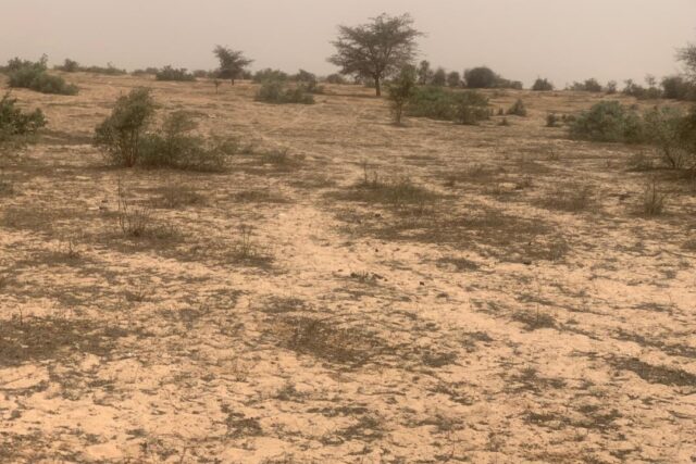 Propulsez votre activité sur 2,59 Ha. Un terrain, prêt pour vos installations industrielles.