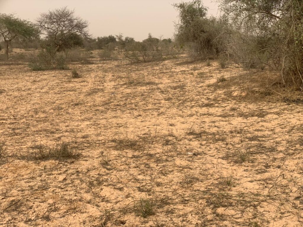 L’emplacement industriel de 10,18 Hectares à Diokoul – Kébémer !