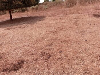 Saisissez cet emplacement industriel de 3 600 m² à Tassette – Thiès !