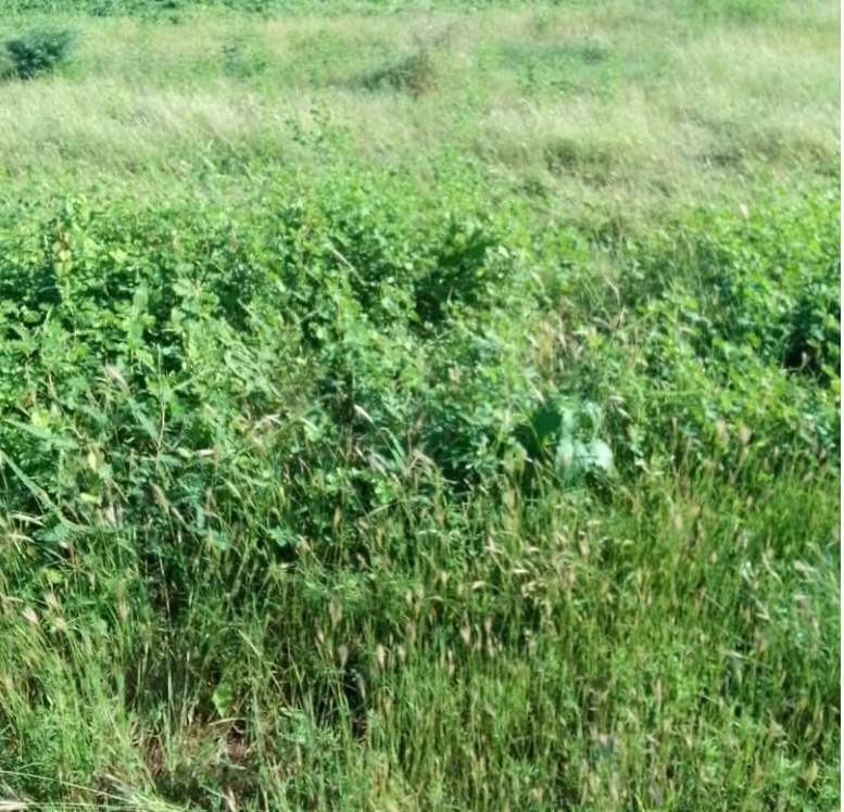 votre projet sur 2,50 Hectares stratégiques à Séssène – Mbour !