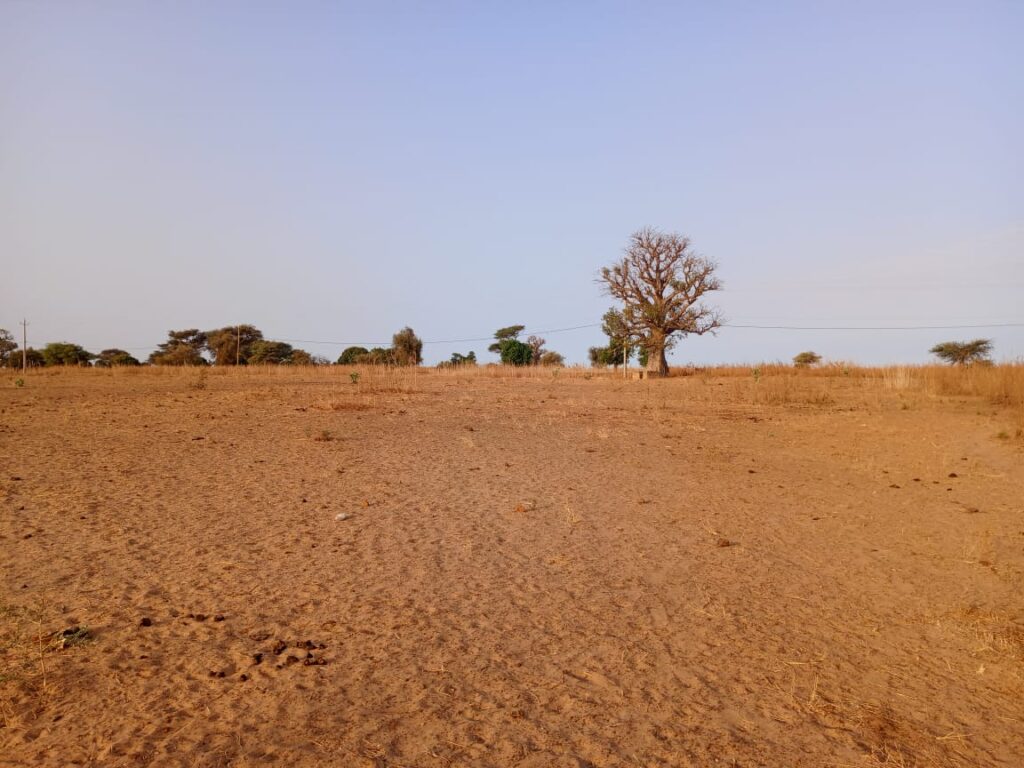 Terrain Industriel de 5001 m² vers Tassette – Thiès