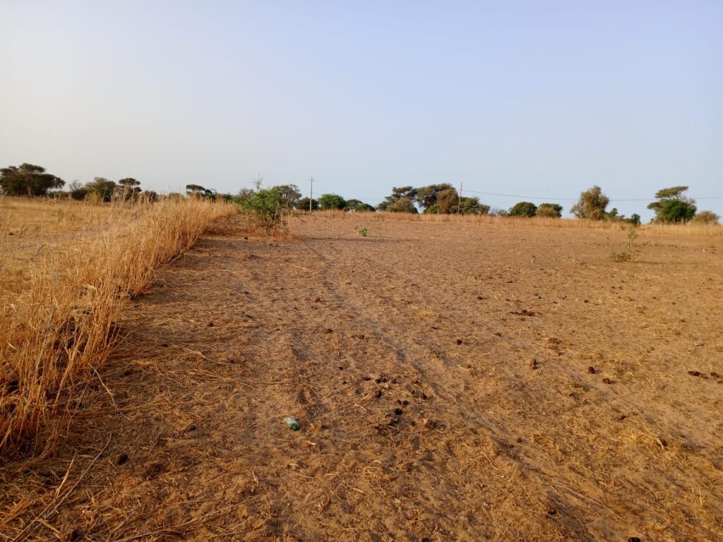 Terrain Industriel de 5001 m² vers Tassette – Thiès