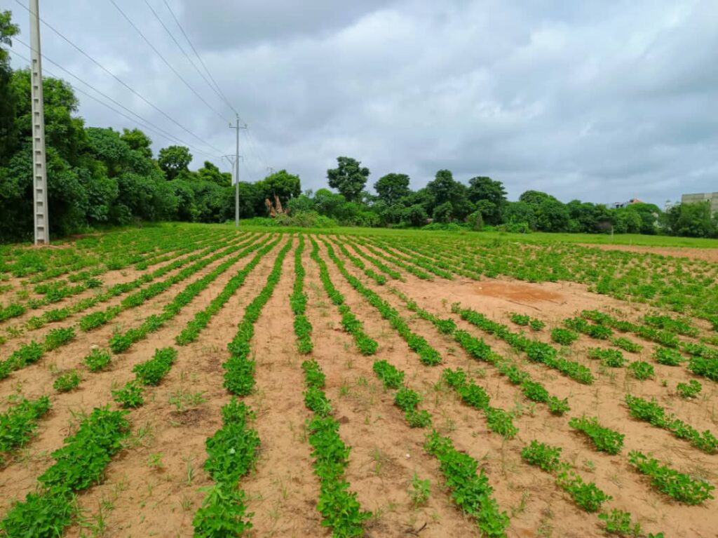 Terrain industriel de 8555 M² vers Keur Moussa Thies