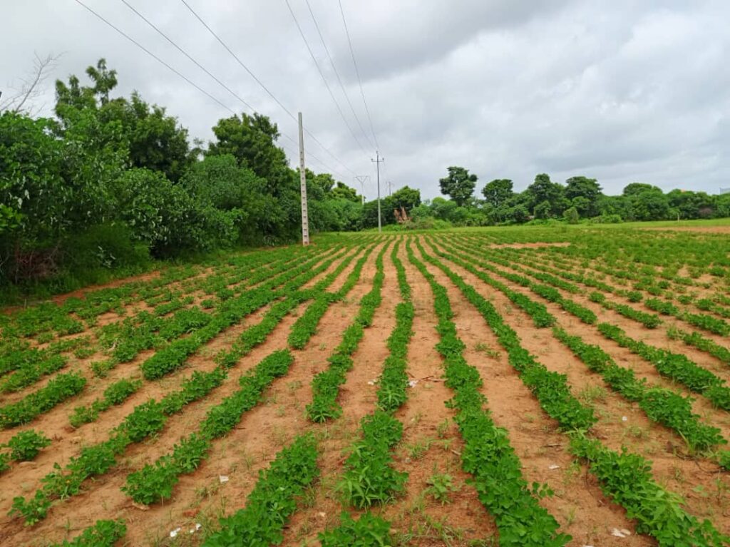 Terrain industriel de 8555 M² vers Keur Moussa Thies