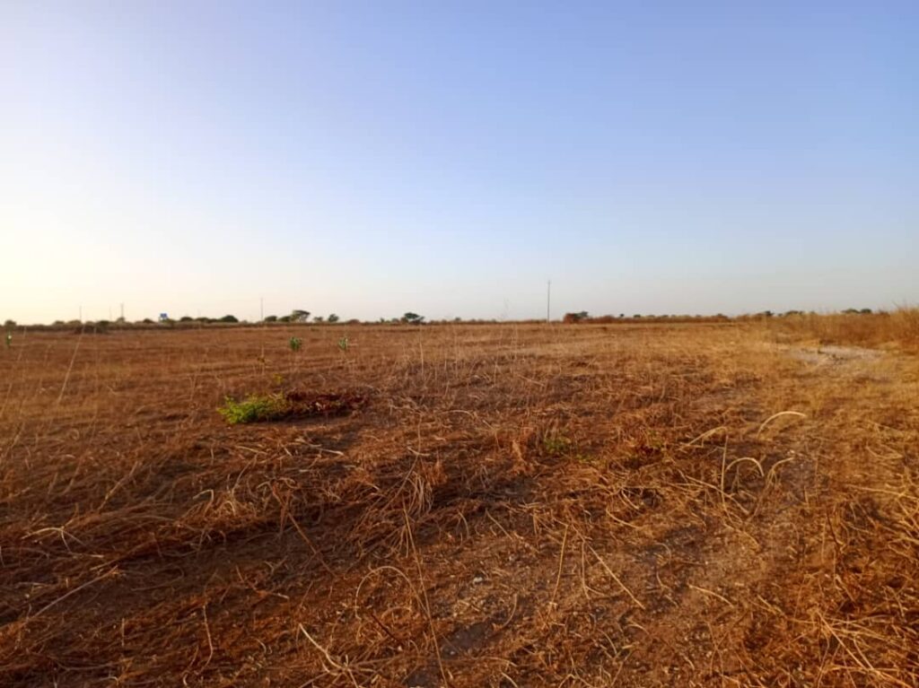 Terrain Industriel de 4,33 hectares vers Notto Diobass – Thiès