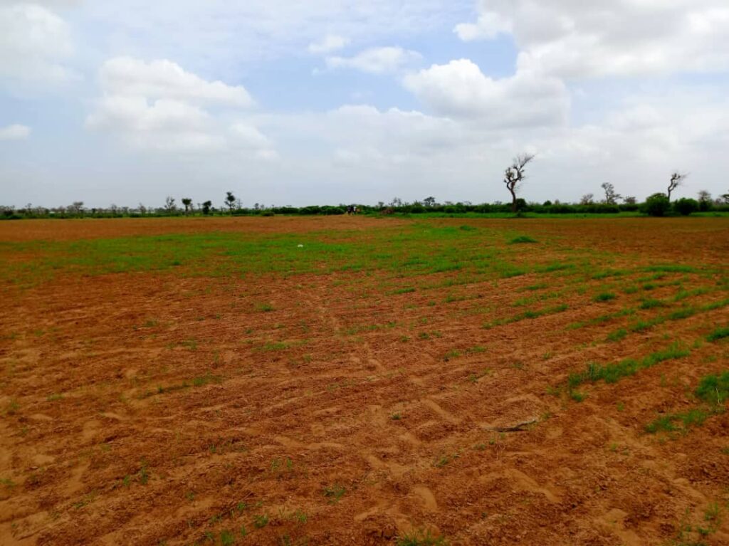 Terrain Agricole de 1,27 Hectare vers Notto Diobass – Thiès