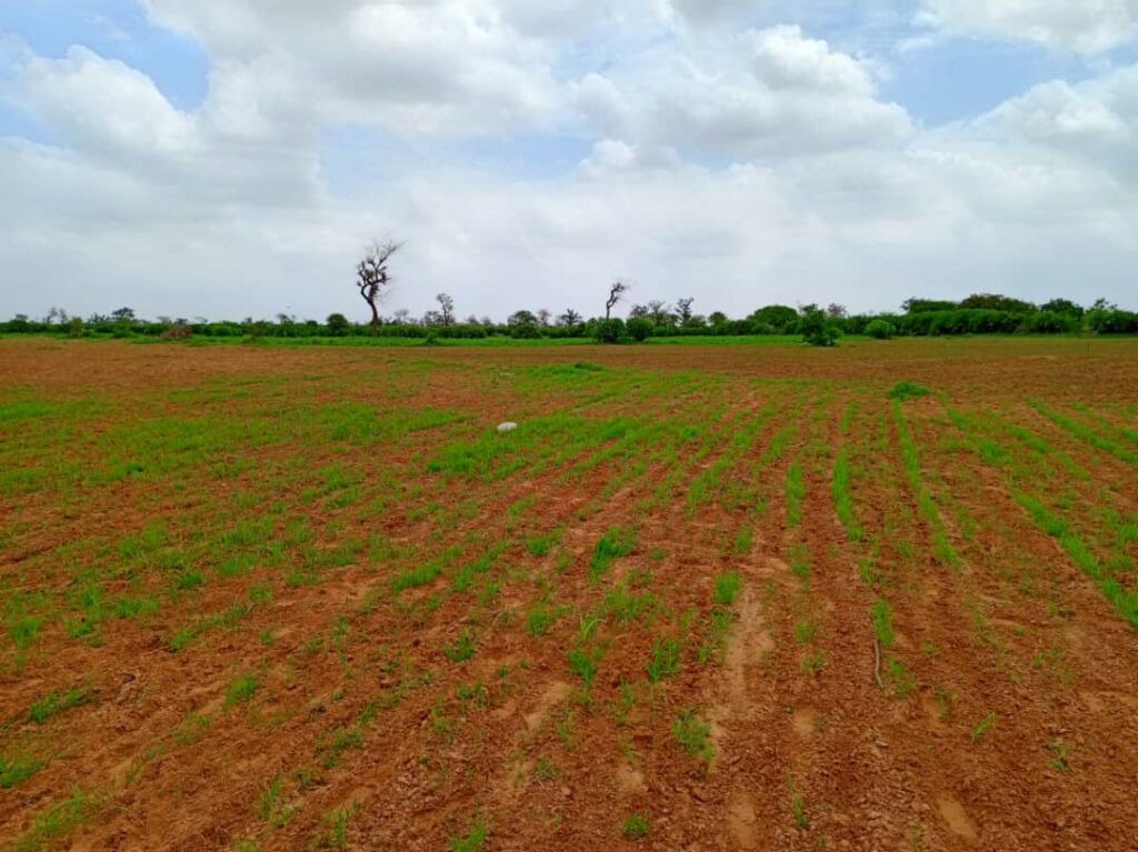 Terrain Agricole de 1,27 Hectare vers Notto Diobass – Thiès