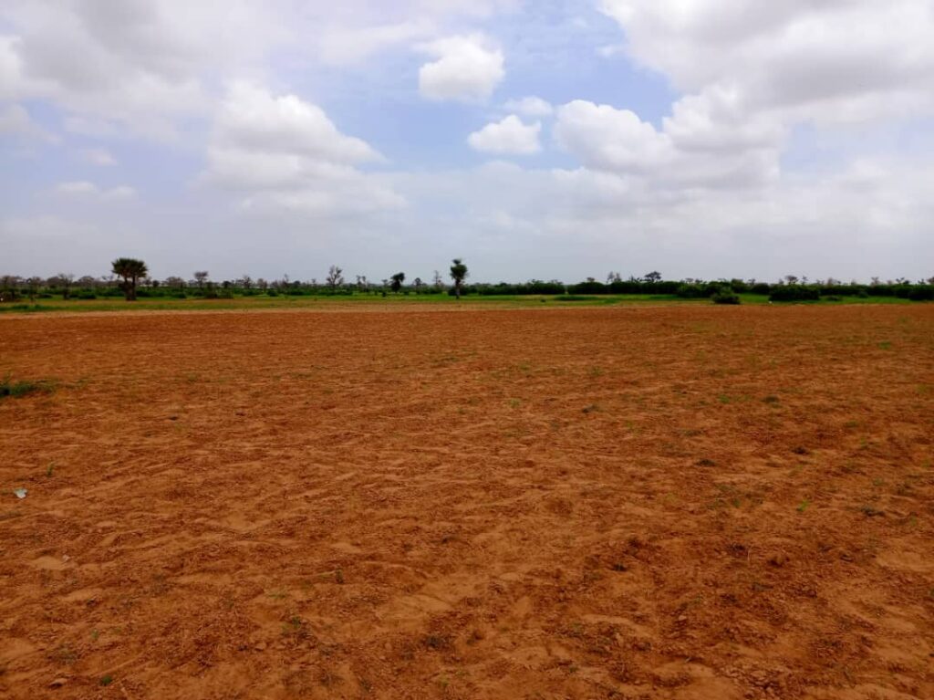 Terrain Agricole de 1,27 Hectare vers Notto Diobass – Thiès