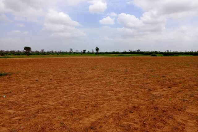 Terrain Agricole de 1,27 Hectare vers Notto Diobass – Thiès