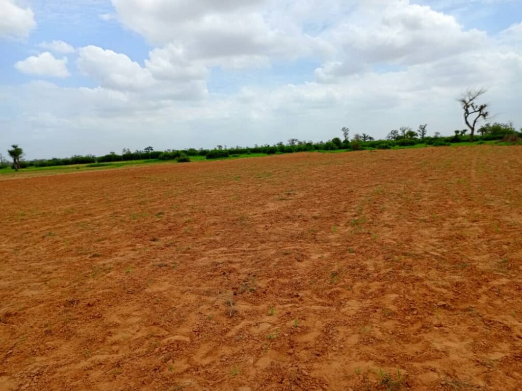 Terrain Agricole de 1,27 Hectare vers Notto Diobass – Thiès