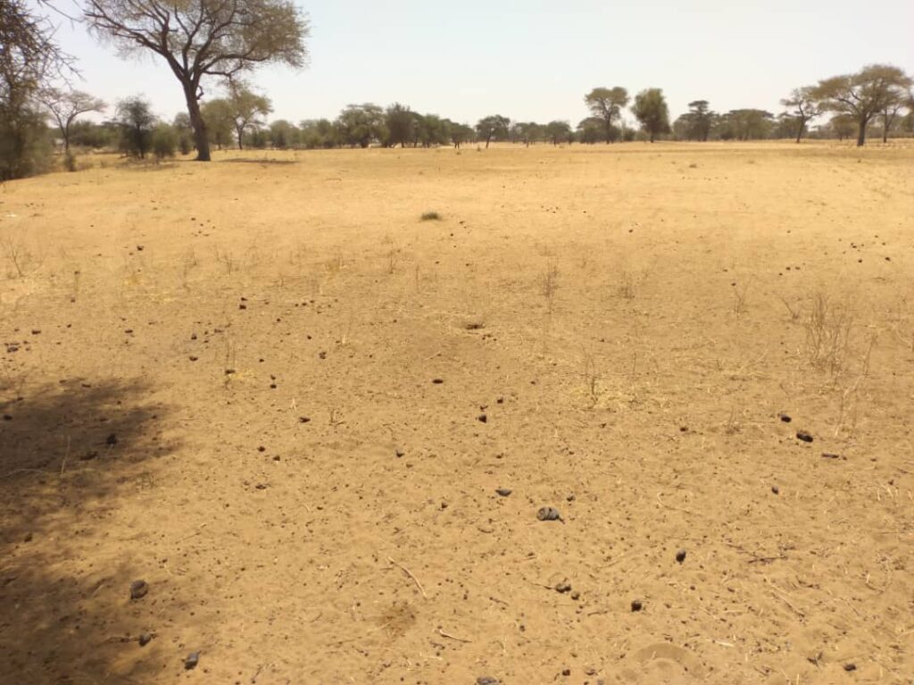 Terrain Industriel de 2,11 Hectares En Bordure de Route vers Saghatta