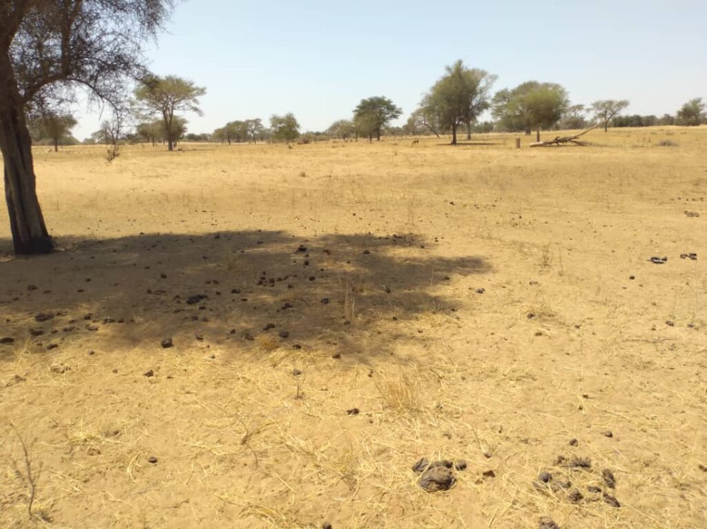 Terrain Industriel de 2,11 Hectares En Bordure de Route vers Saghatta