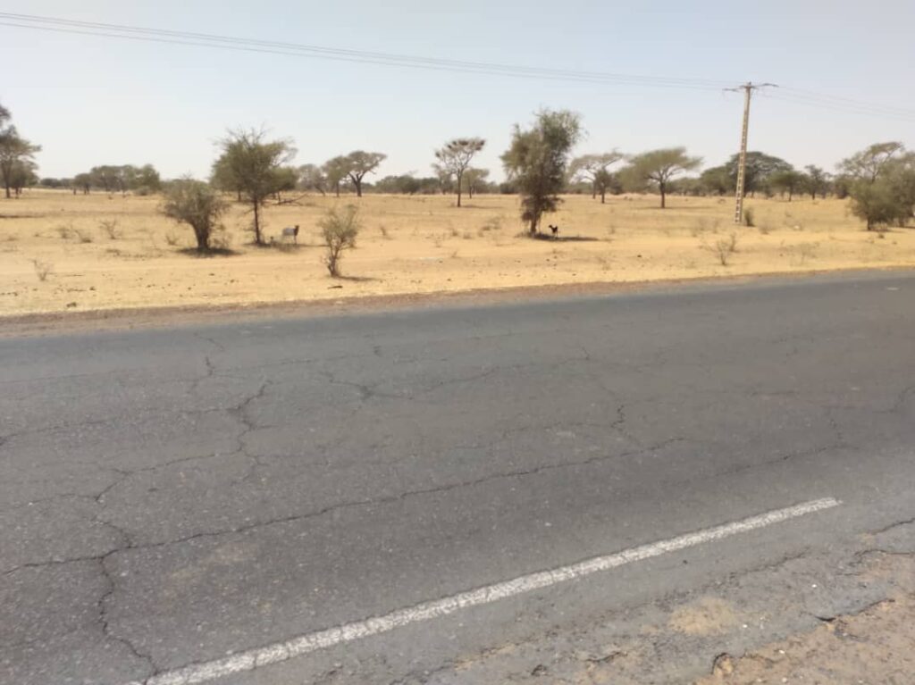 Terrain Industriel de 2,11 Hectares En Bordure de Route vers Saghatta