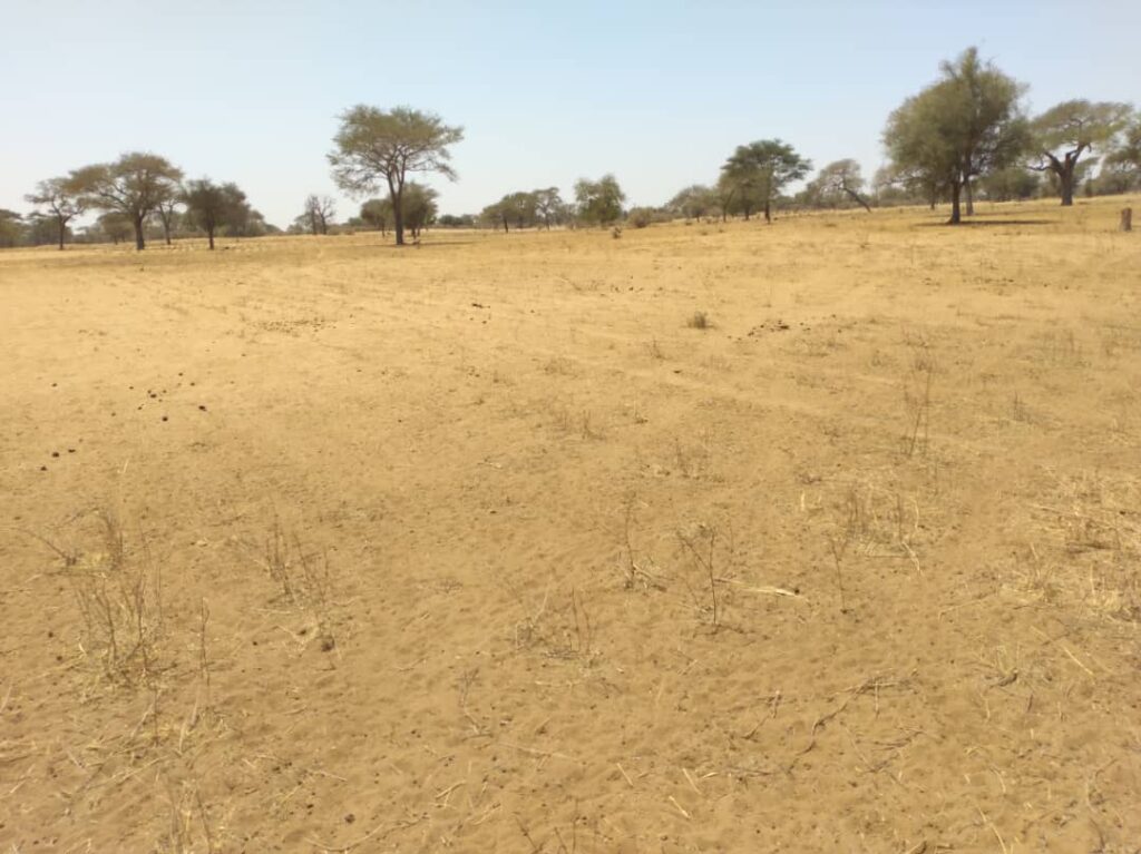 Terrain Industriel de 2,11 Hectares En Bordure de Route vers Saghatta