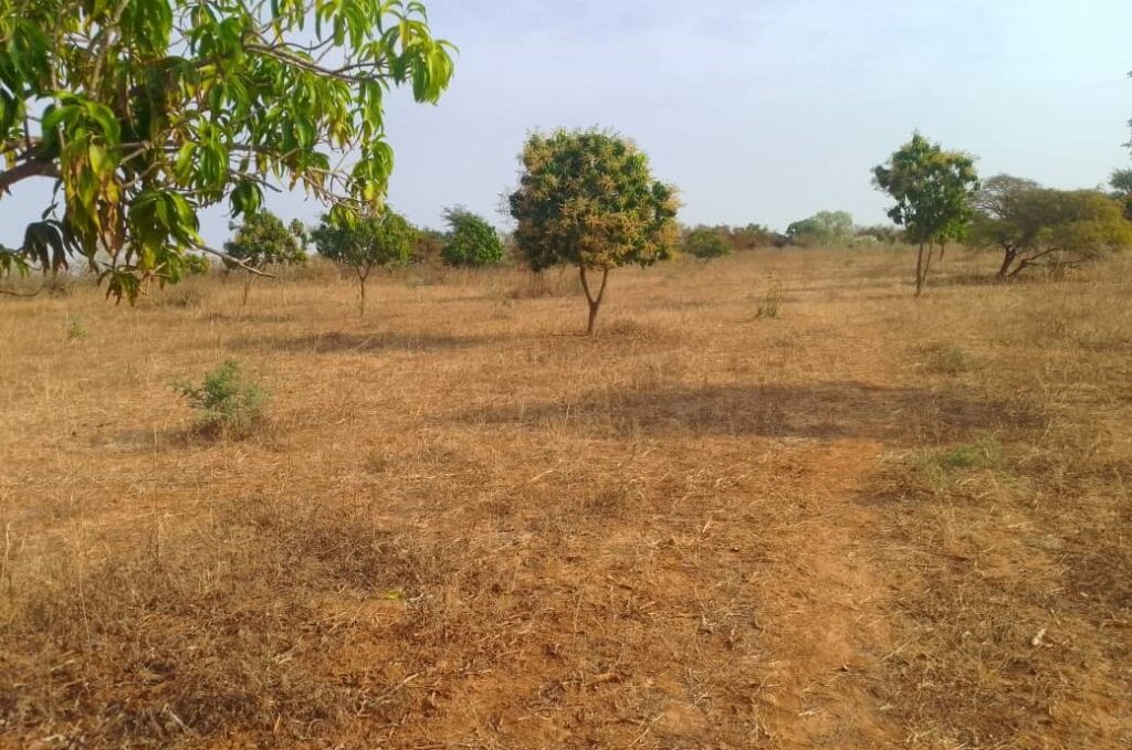 Verger de 1,42 hectare vers Notto Diobass – Thiès