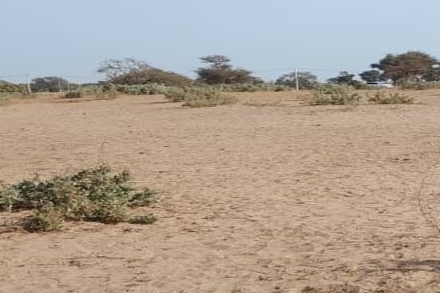 Terrain Agricole de 5 Hectares vers Tassette – Thiès